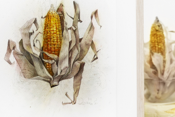 Draw-Planet-Sergey-Extra-11