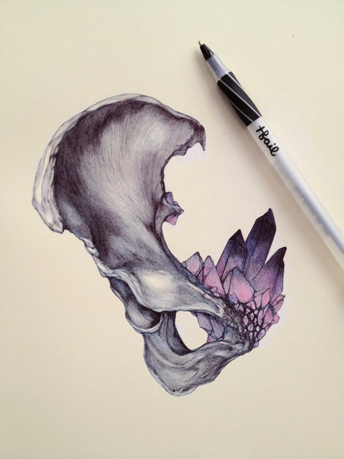 illustration-t.s.claire-1