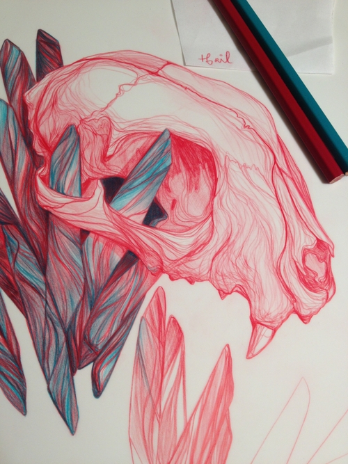 illustration-t.s.claire-3