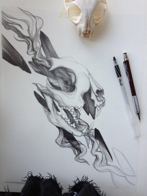 illustration-t.s.claire-4