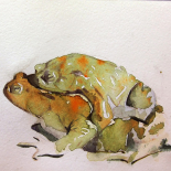 Benjamin-Bjorklund-6