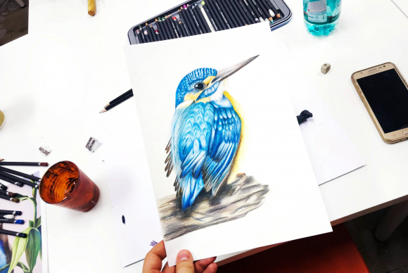 1-2018-Pastelky-1-58