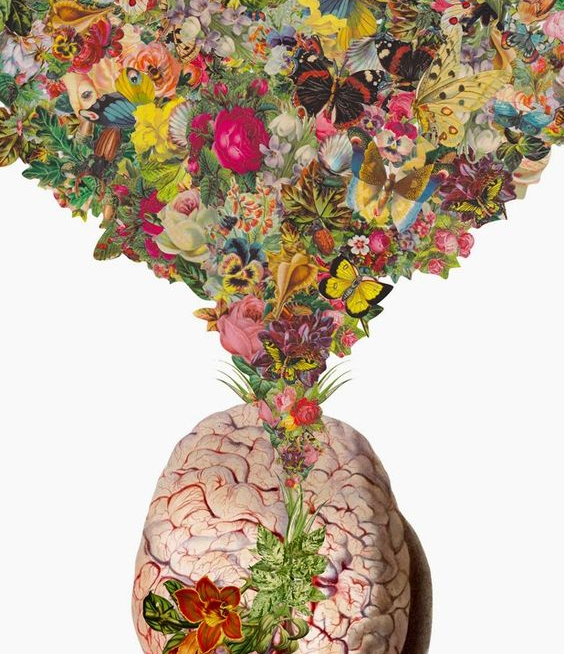 81142b9dbbde7a8890cf95327daaa028