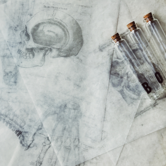 joyce-mccown-iu9UEWRanSc-unsplash